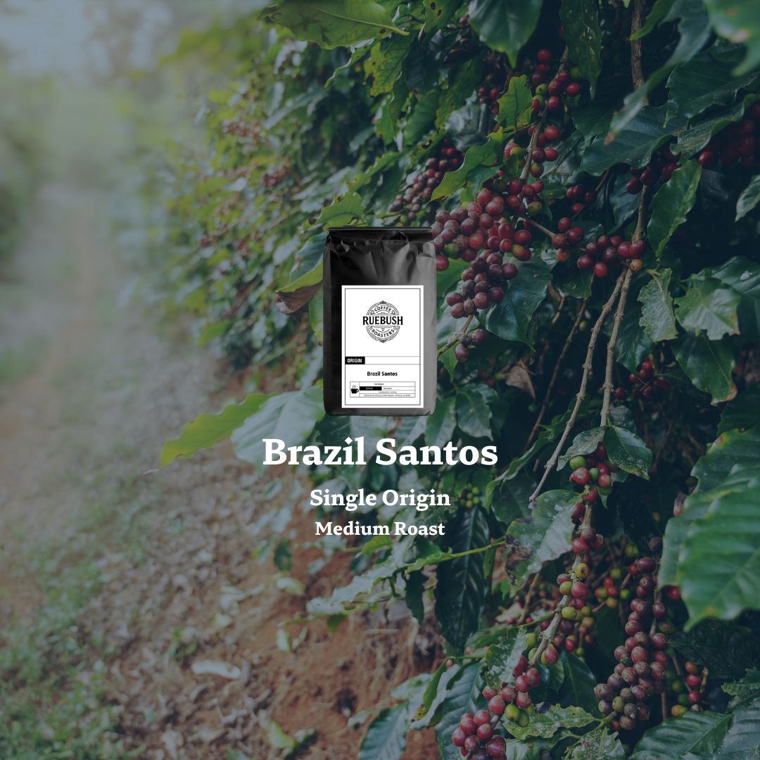 Coffee cherries on a tree with Brazil Santos text overlay and Single Origin Medium Roast
