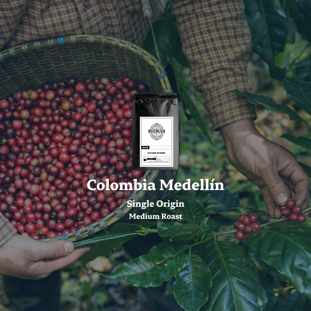 Person holding a basket of red single origin Columbia Medellín coffee cherries