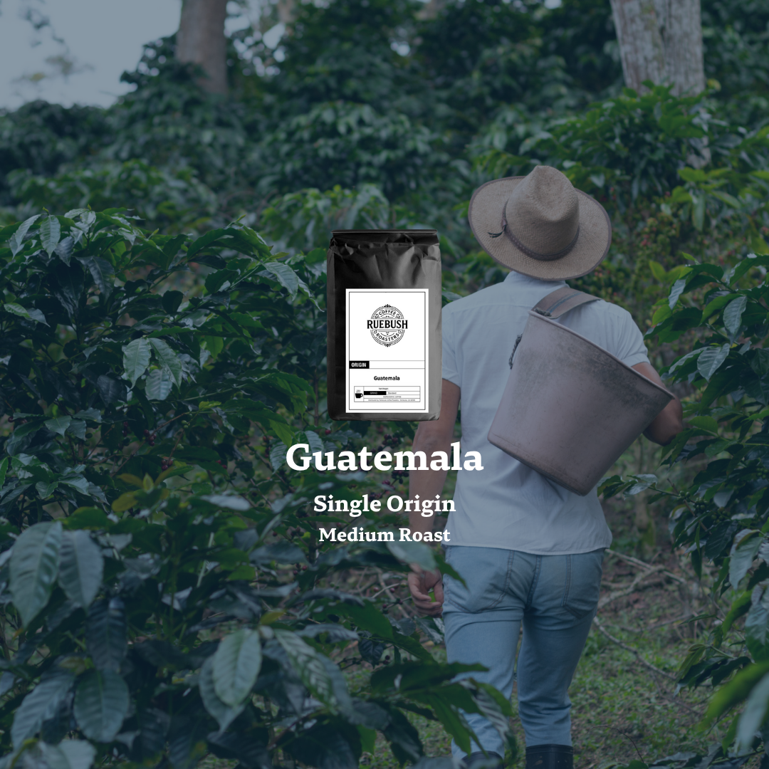 Person walking through a coffee plantation with Guatemala Single Origin Medium Roast text overlay