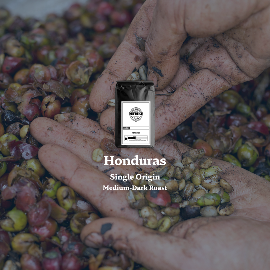 Hand holding Honduras single origin coffee beans overlayed with a bag of coffee and text indicating medium-dark roast