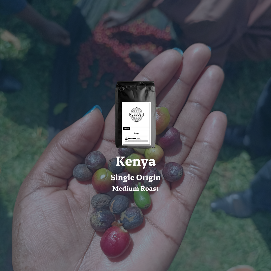 Hand holding coffee beans with a Kenya single origin coffee bag label