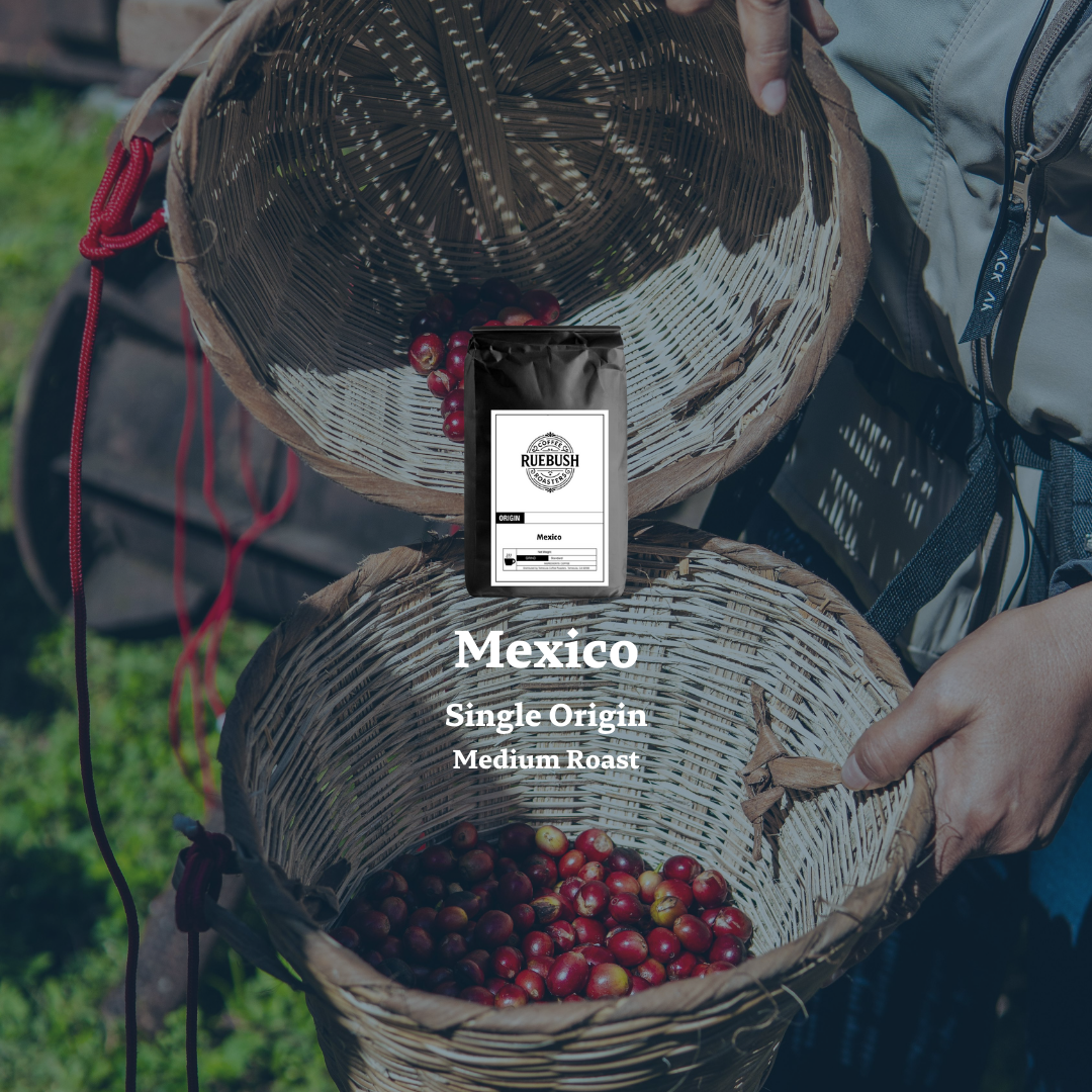 Person holding a basket of coffee cherries with a bag labeled Mexico Single Origin Medium Roast on a blurred natural background