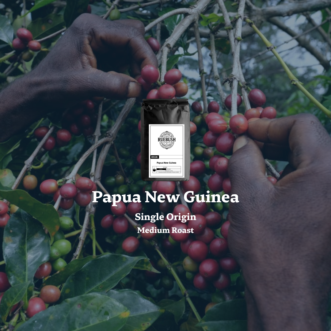 Hands picking coffee berries with a bag of coffee labeled Papua New Guinea Single Origin Medium Roast
