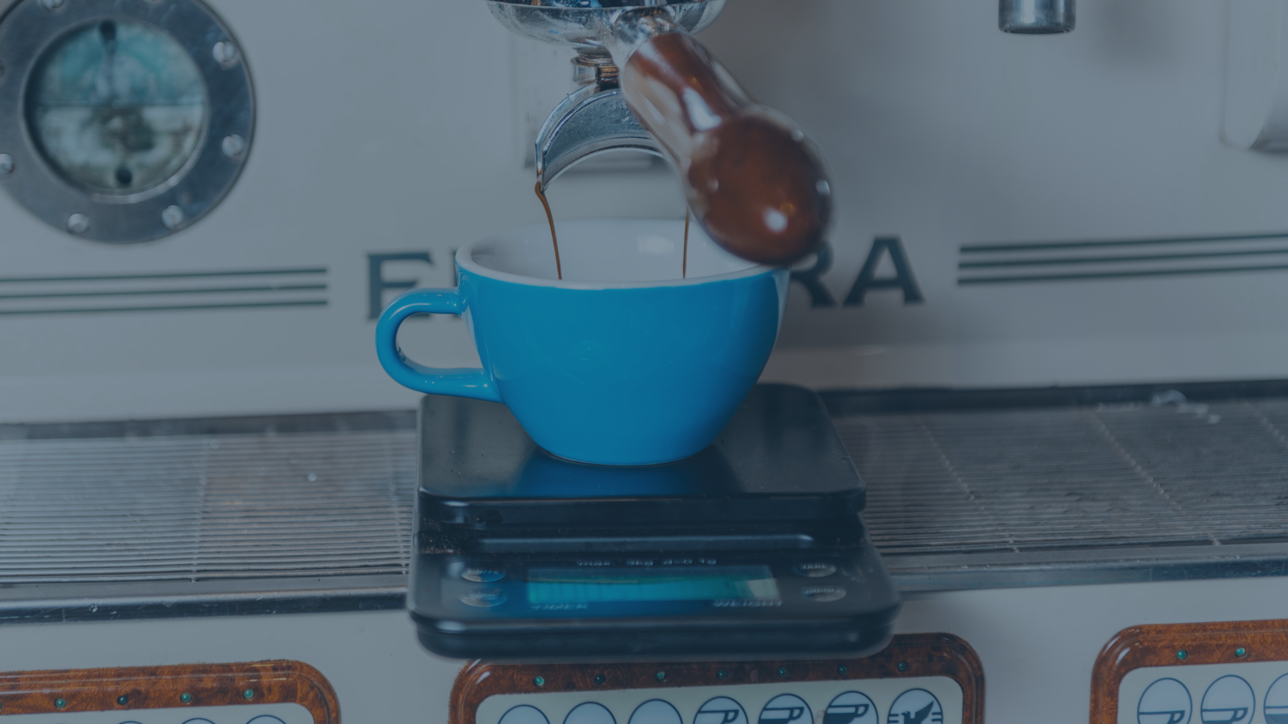 Premium Specialty Coffee Beans Roasted Fresh Daily