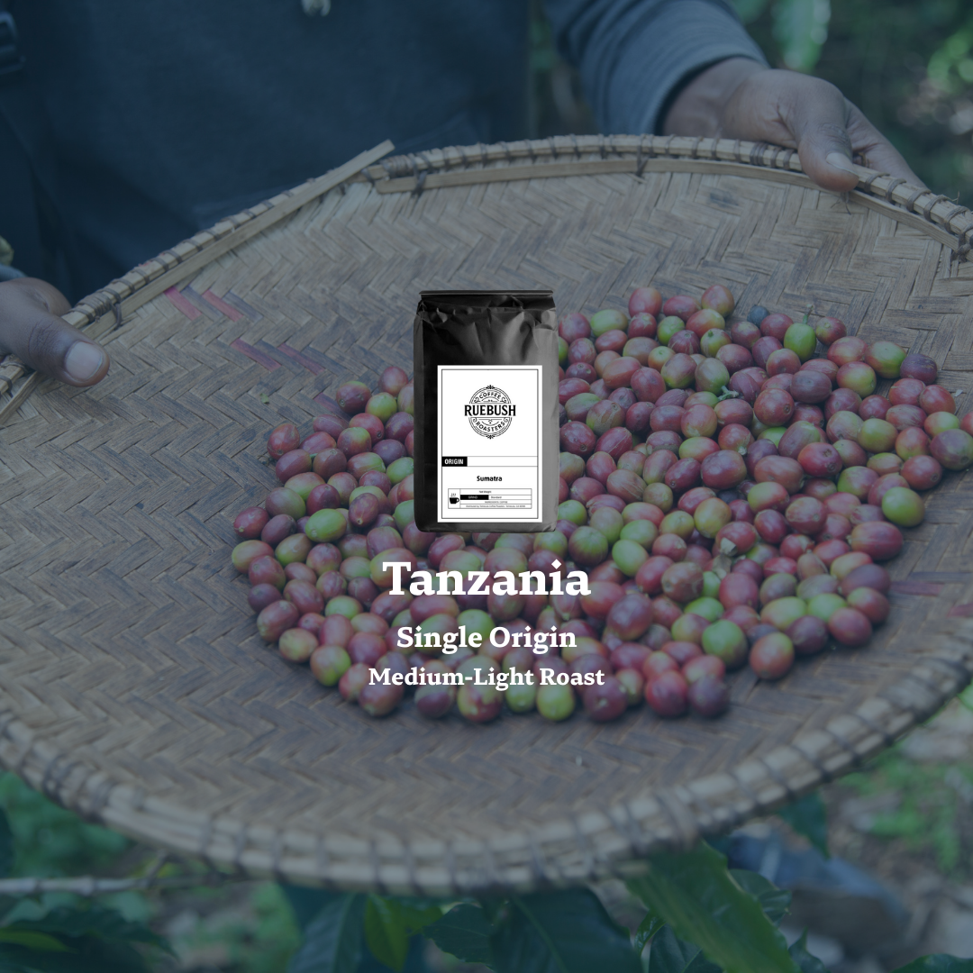 Wicker basket with coffee cherries and a coffee bag labeled Tanzania Single Origin Medium-Light Roast on a blurred natural background.