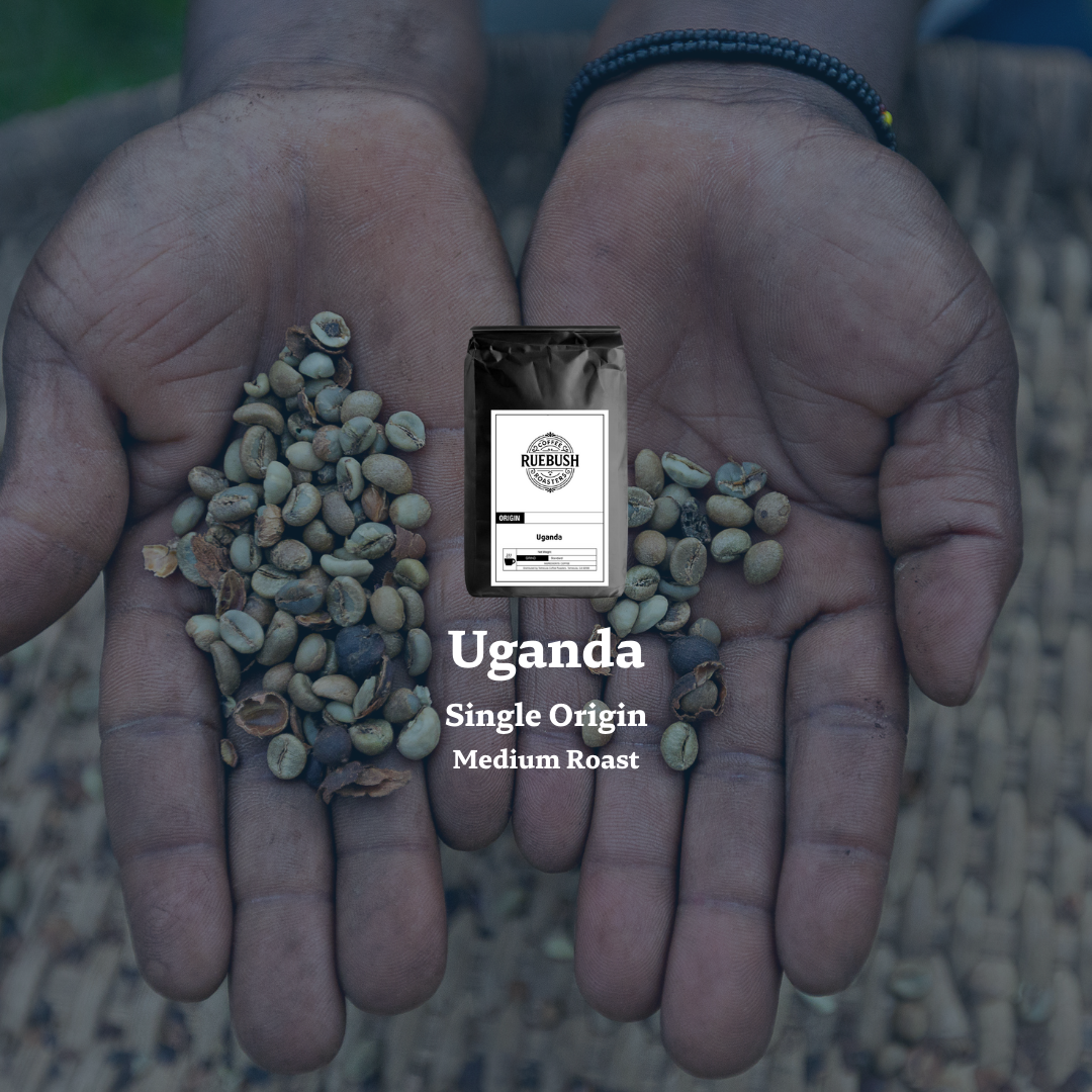 Hands holding green coffee beans with a coffee bag labeled Uganda Single Origin Medium Roast in the center.