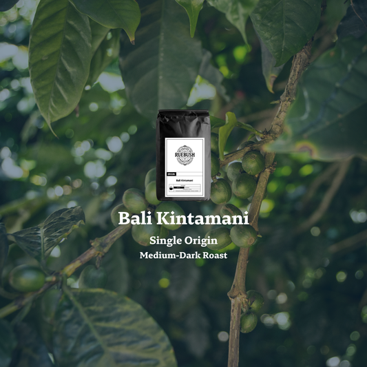 Bali Kintamani single origin coffee beans on a branch with text overlay saying medium-dark roast
