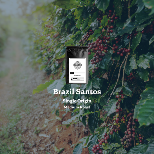 Coffee cherries on a tree with Brazil Santos text overlay and Single Origin Medium Roast