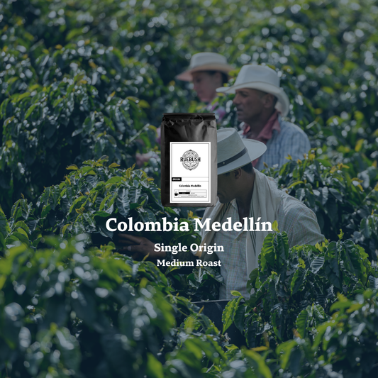 People working in a coffee field in Columbia inspecting single origin beans