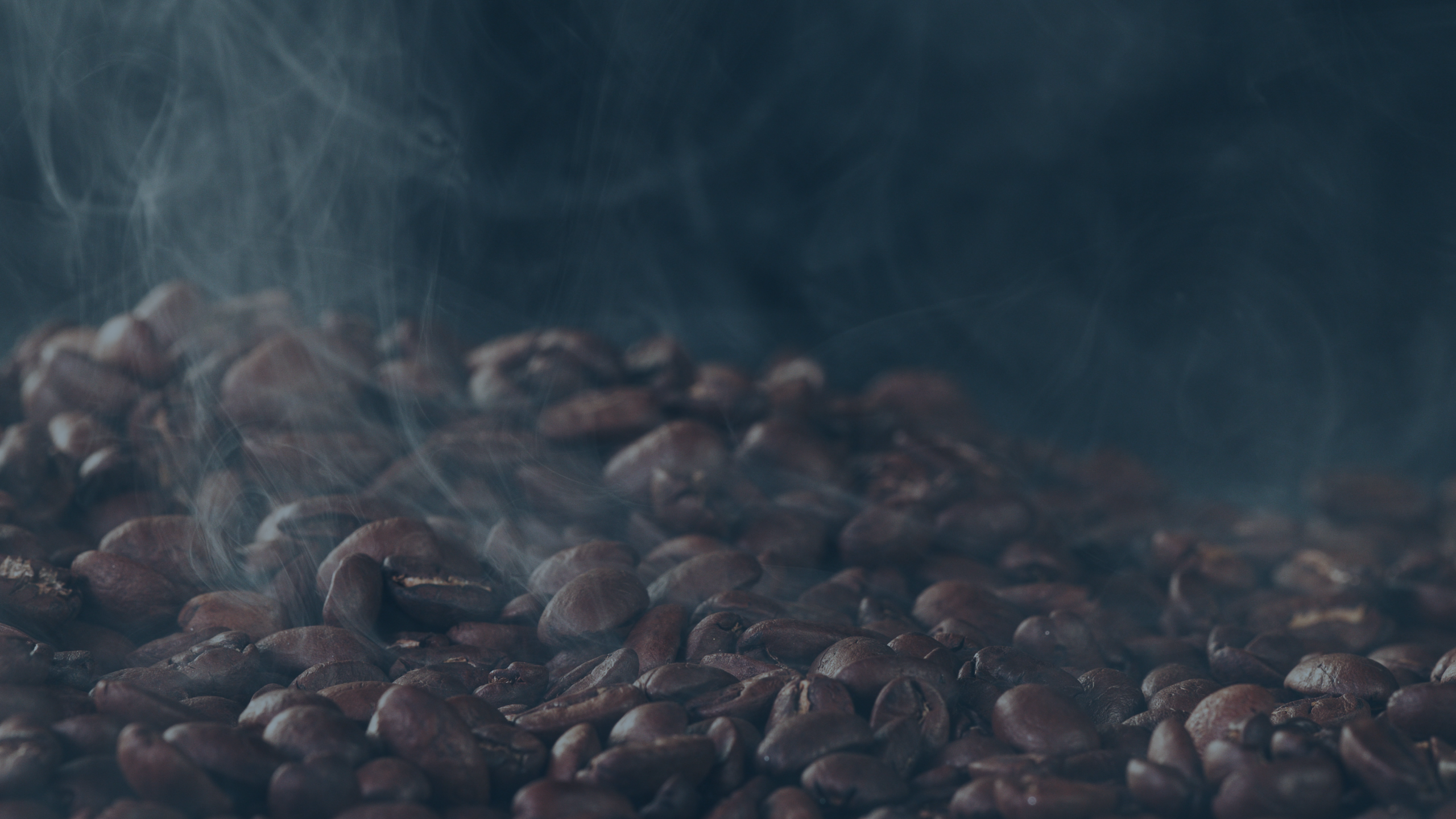 Fresh roasted coffee beans delivered fresh daily roasted in small batches