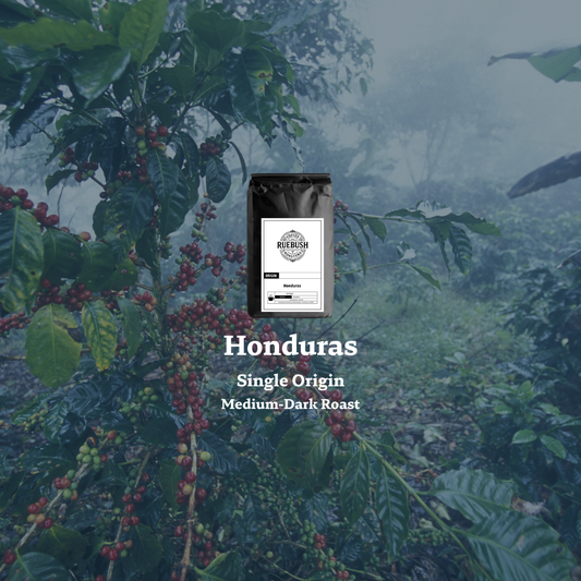 Coffee bag labeled Honduras over a coffee plant with coffee beans and text indicating single origin and medium-dark roast