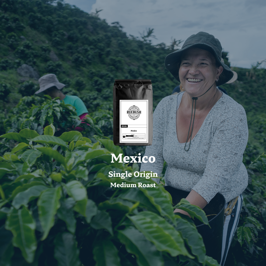 Woman in a coffee plantation with a coffee bag labeled Mexico Single Origin Medium Roast displayed