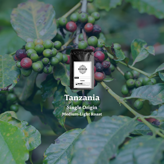 Coffee bag labeled Tanzania Single Origin Medium-Light Roast on a coffee plant with green and red coffee berries.