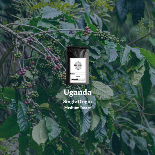 Coffee bag labeled Uganda Single Origin Medium Roast on a coffee plant background